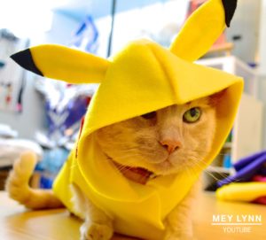 Gato disfrazado de pikachu