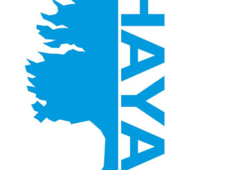 Haya Real Estate revoluciona el mercado inmobiliario