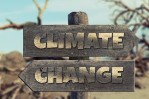 Cómo luchar desde casa contra el cambio climático
