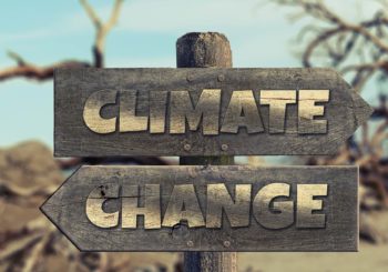 Cuida del planeta: 5 acciones por las que eres cómplice del cambio climático