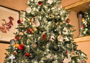 Cómo preparar tu árbol de navidad